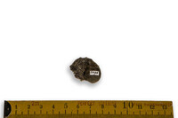 F 02096
<br/>
<br/>
<em></em>